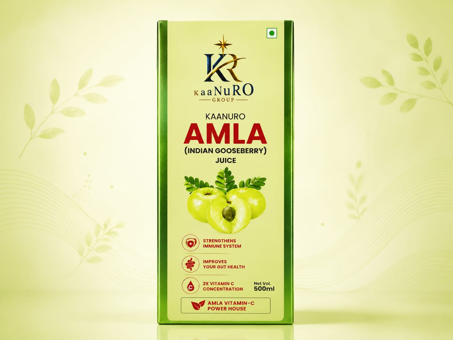 AMLA JUICE 500 ML