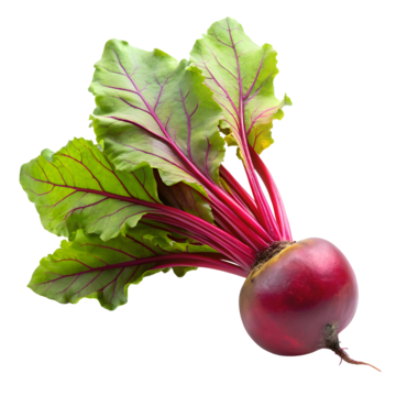 BEETROOT