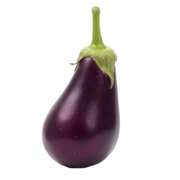BRINGAL
