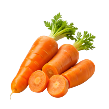 CARROT