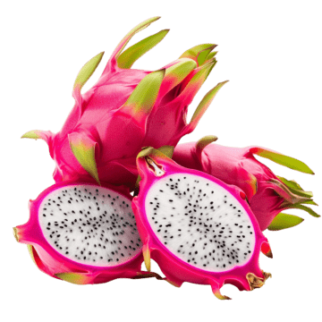 DRGON FRUIT