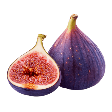 FIG