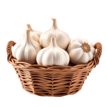 GARLIC