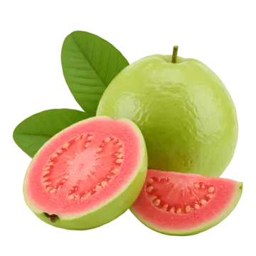 GUAVA