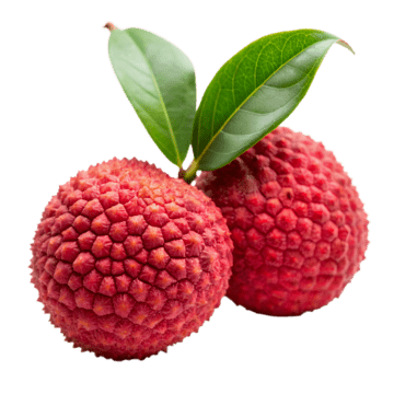 LYCHEE