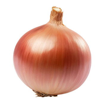 ONION