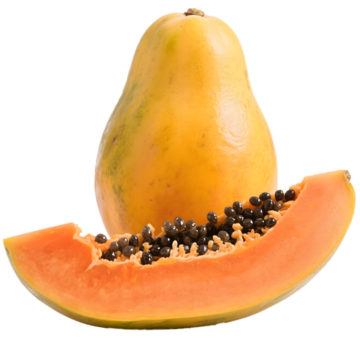 PAPAYA