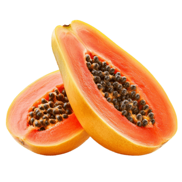 PAPAYA