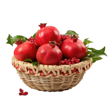 POMEGRANATE