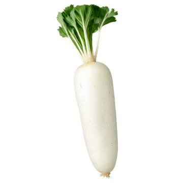 RADISH