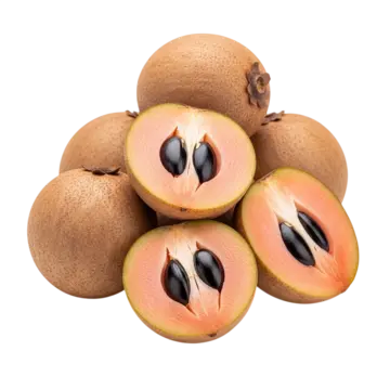 SAPODILLA