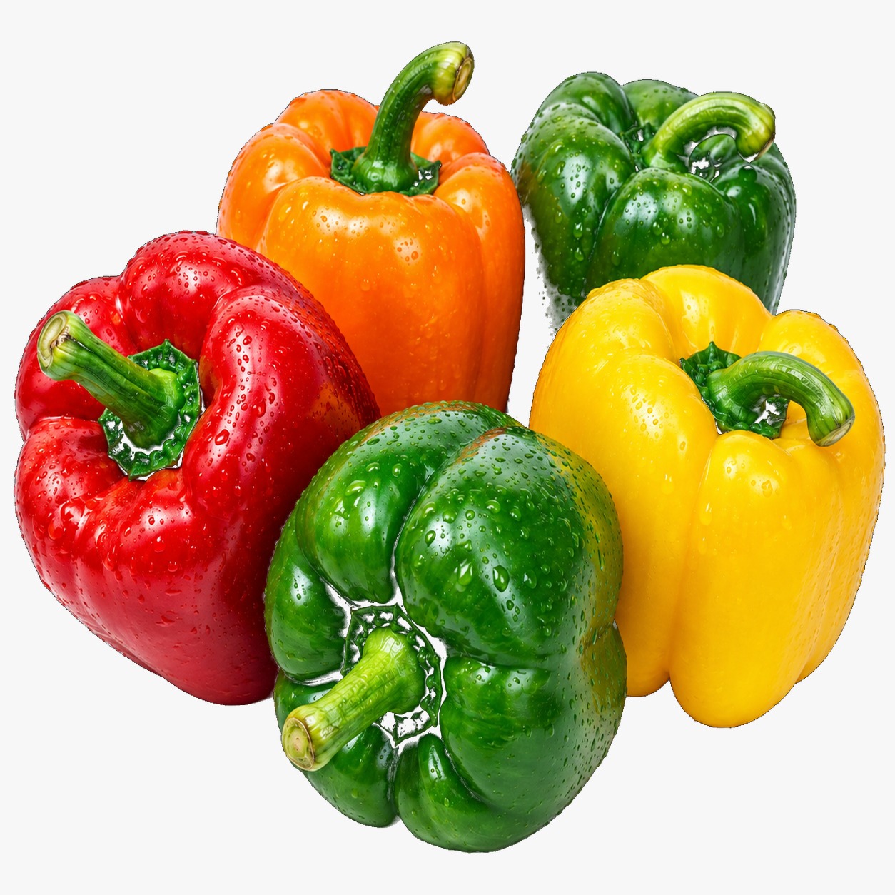 CAPSICUM
